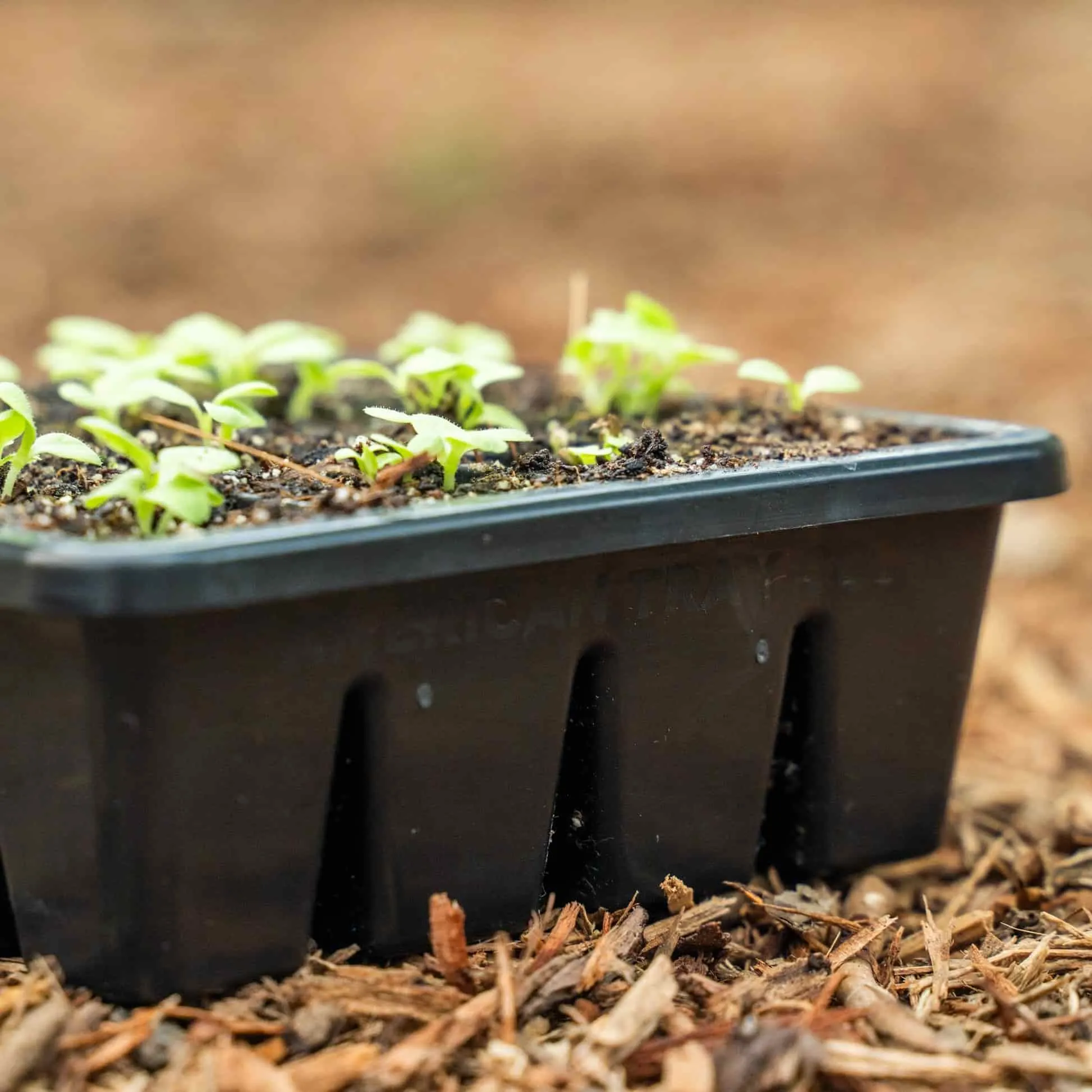 Epic 16-Cell Seed Starting Trays