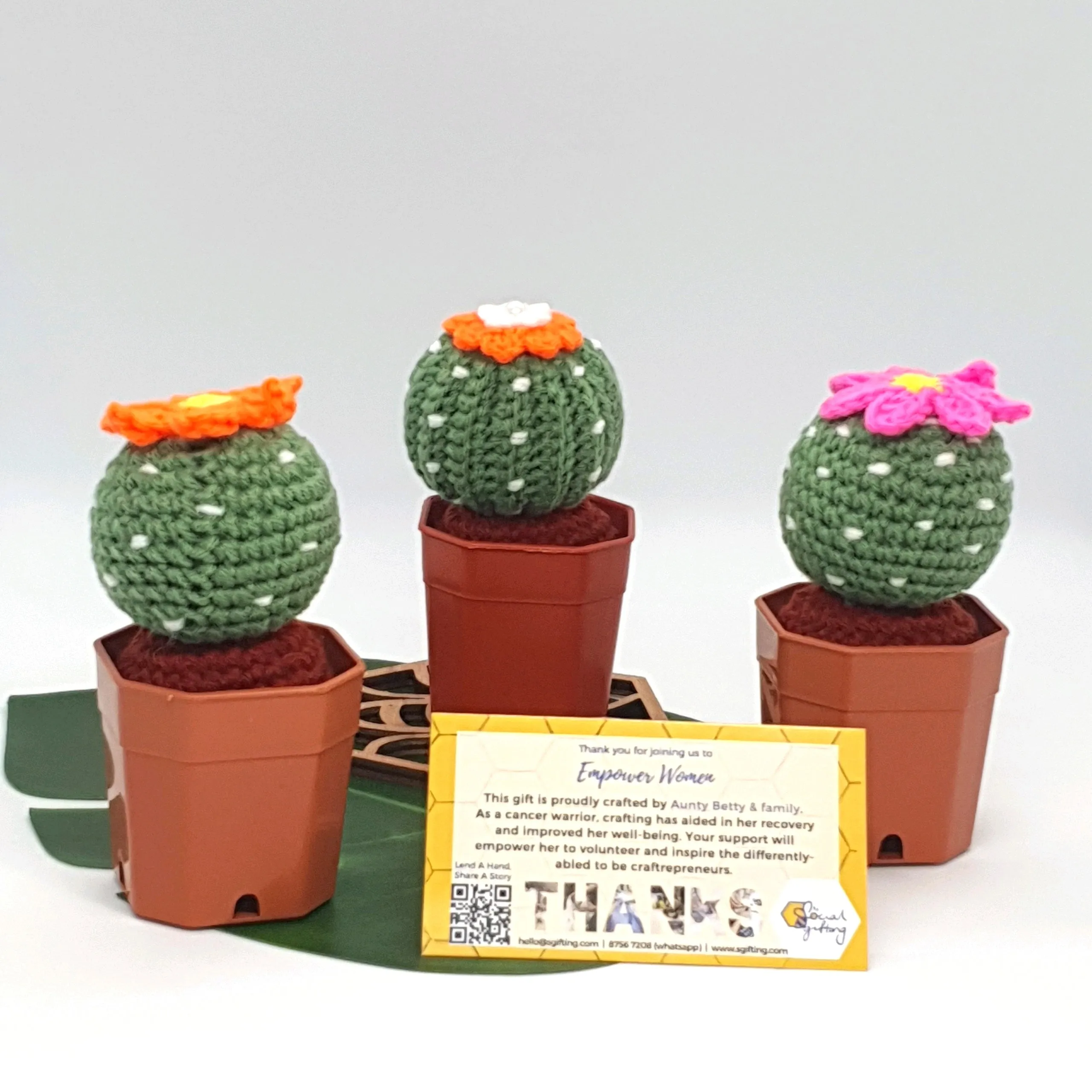 Potted Crochet Cactus