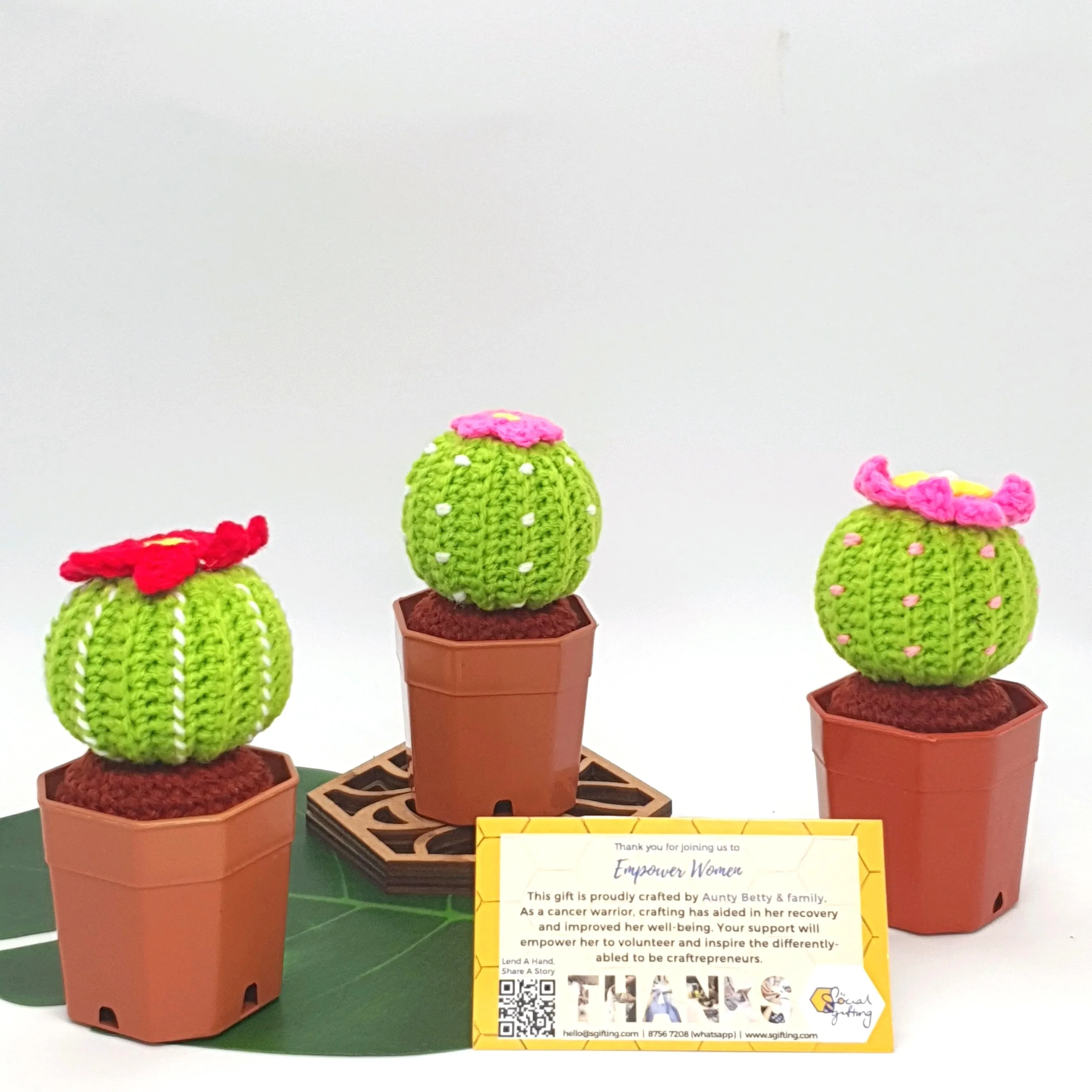 Potted Crochet Cactus