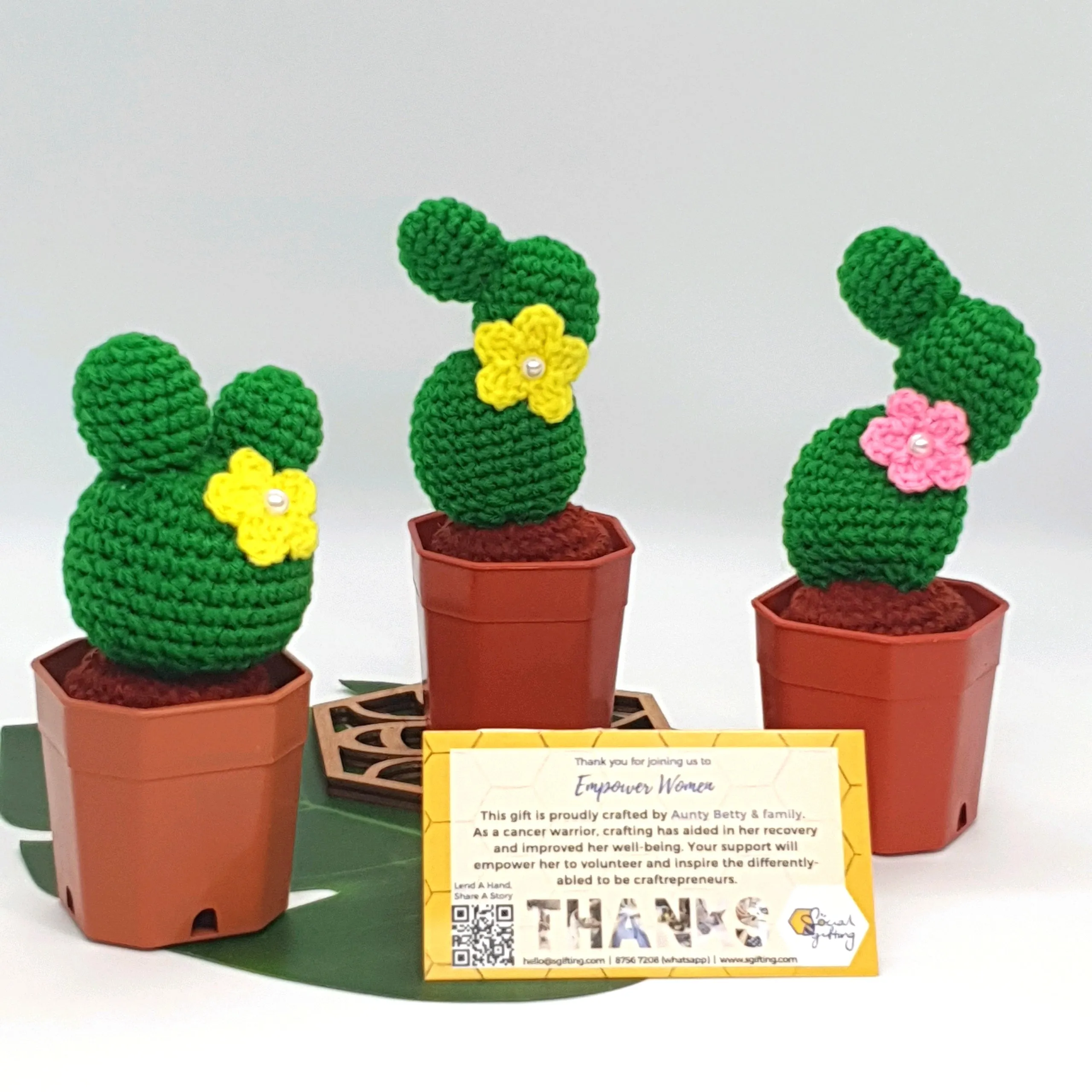 Potted Crochet Cactus