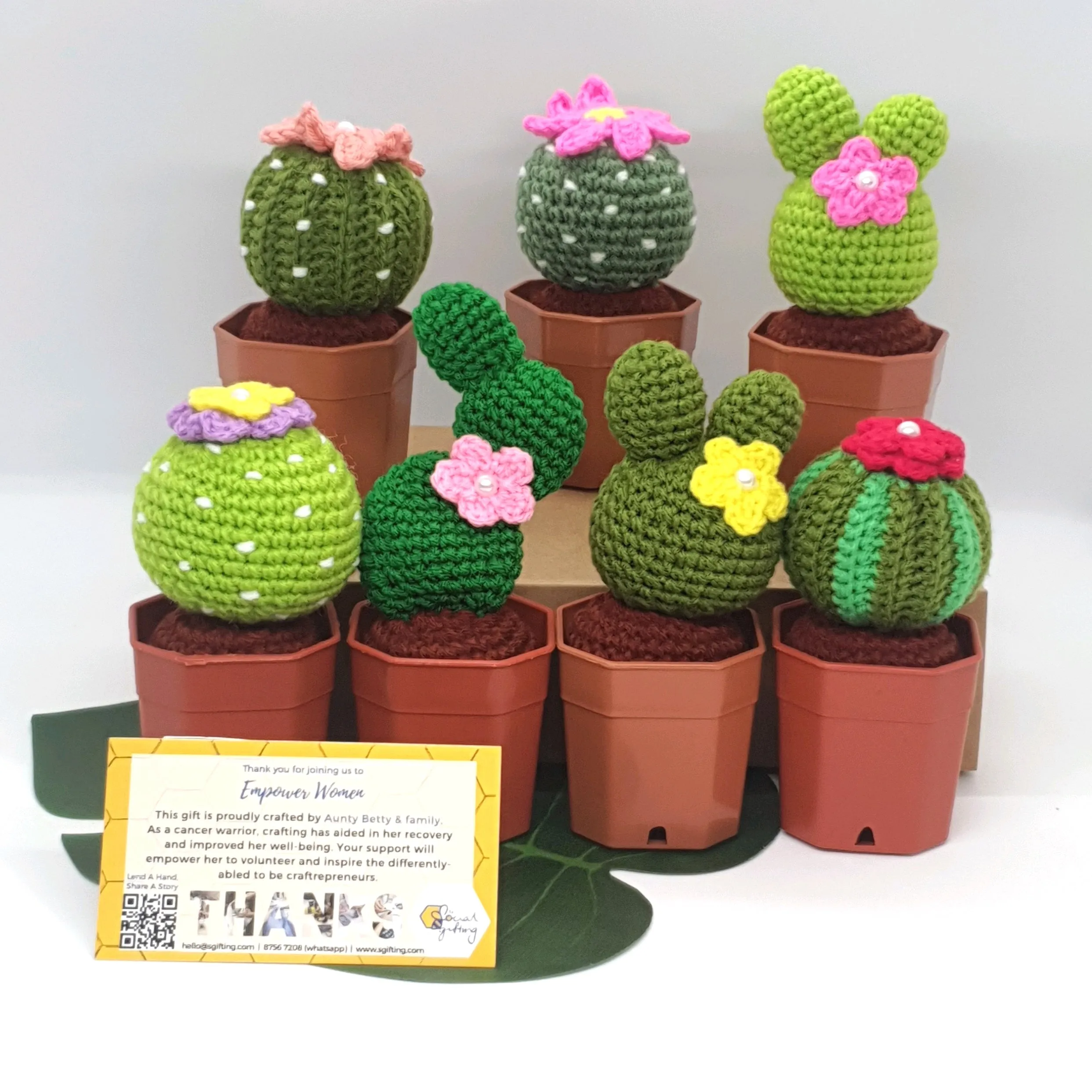 Potted Crochet Cactus