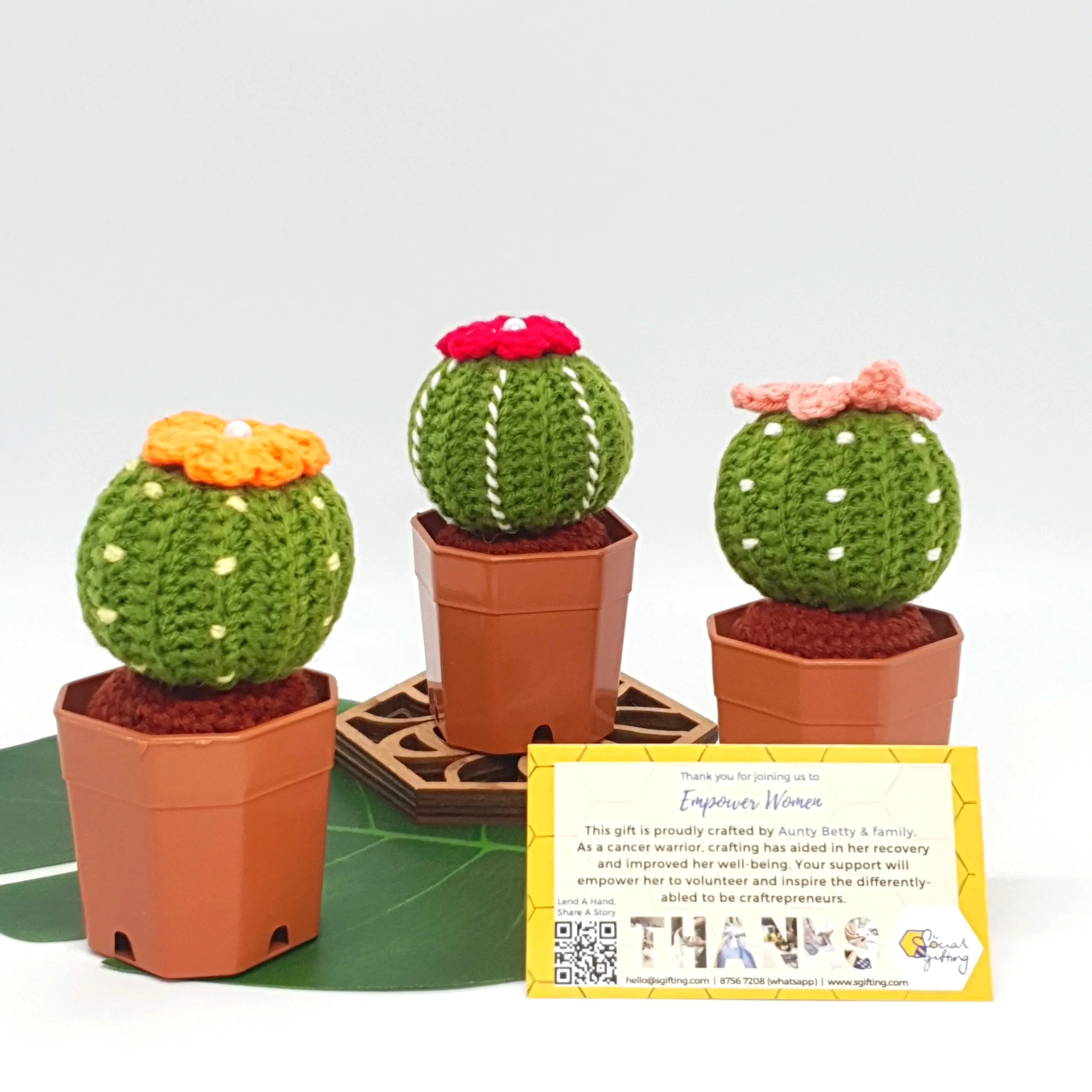 Potted Crochet Cactus