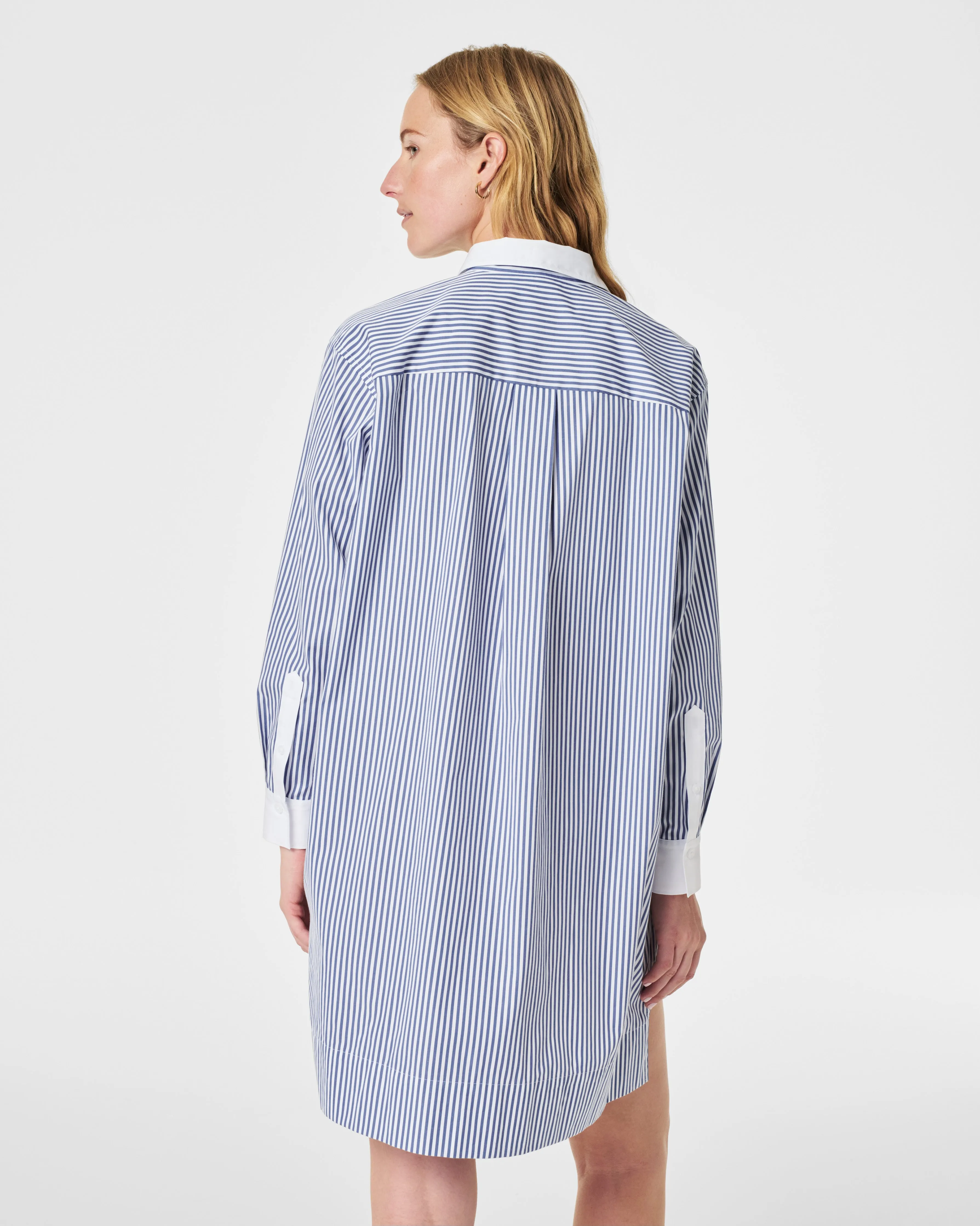 The Best Poplin Striped Shirt Dress